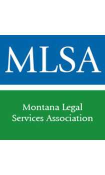 MLSA Logo stacked